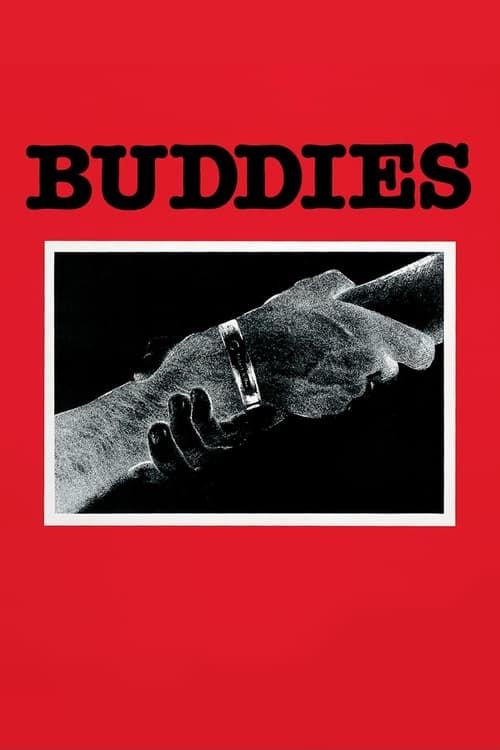 Key visual of Buddies