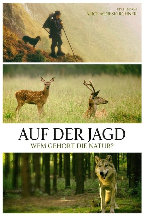 Key visual of Auf der Jagd - Wem gehört die Natur?