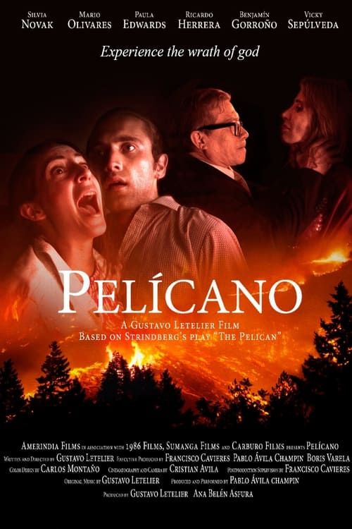 Key visual of Pelícano
