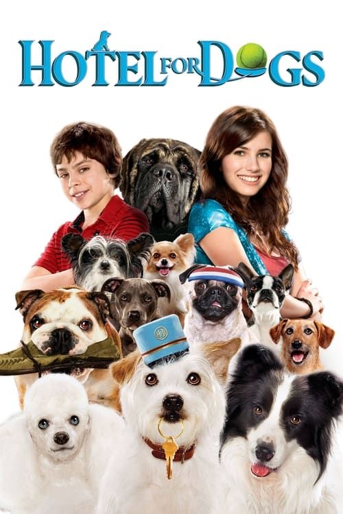 Key visual of Hotel for Dogs