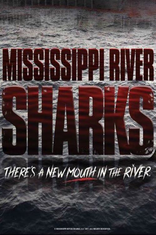 Key visual of Mississippi River Sharks