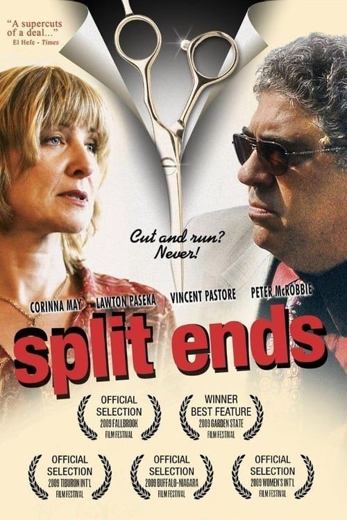 Key visual of Split Ends