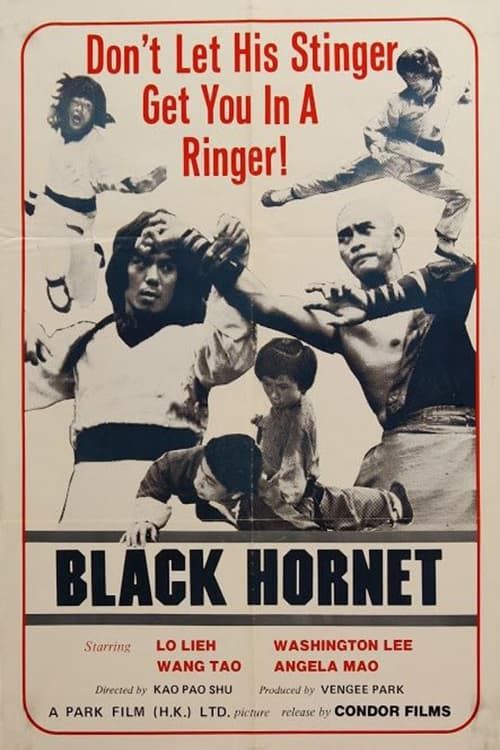 Key visual of Black Hornet