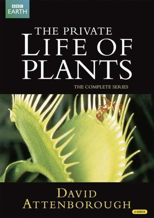 Key visual of The Private Life of Plants
