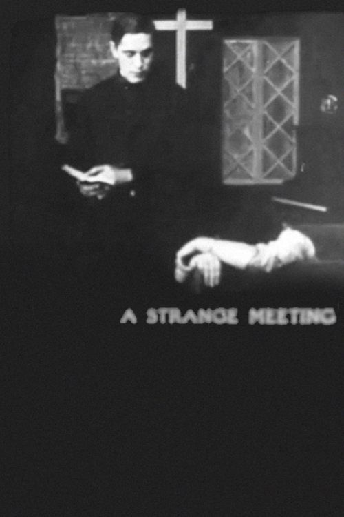 Key visual of A Strange Meeting