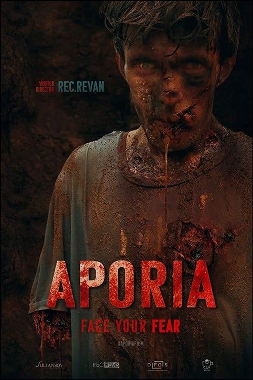 Key visual of Aporia