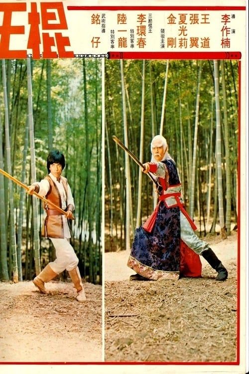 Key visual of Shaolin Invincible Sticks