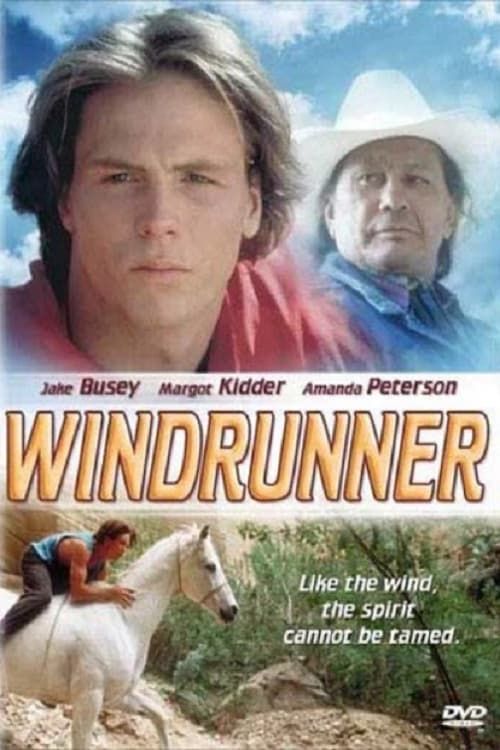 Key visual of WindRunner