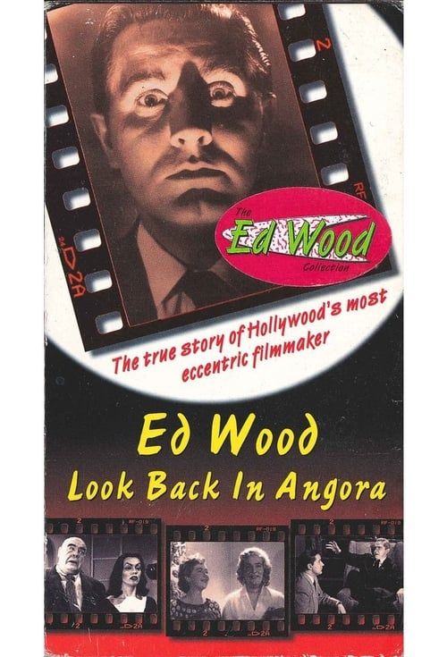 Key visual of Ed Wood: Look Back in Angora