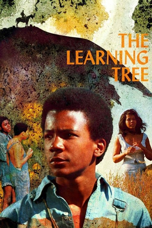 Key visual of The Learning Tree