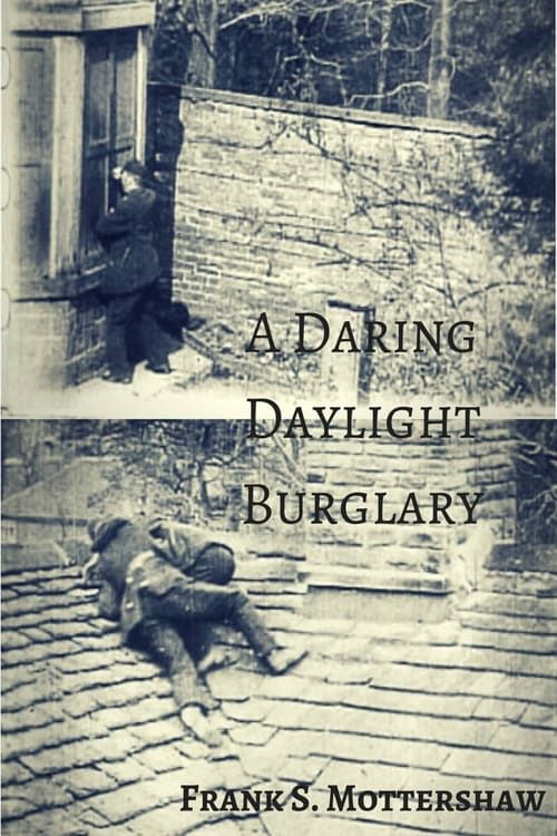 Key visual of A Daring Daylight Burglary