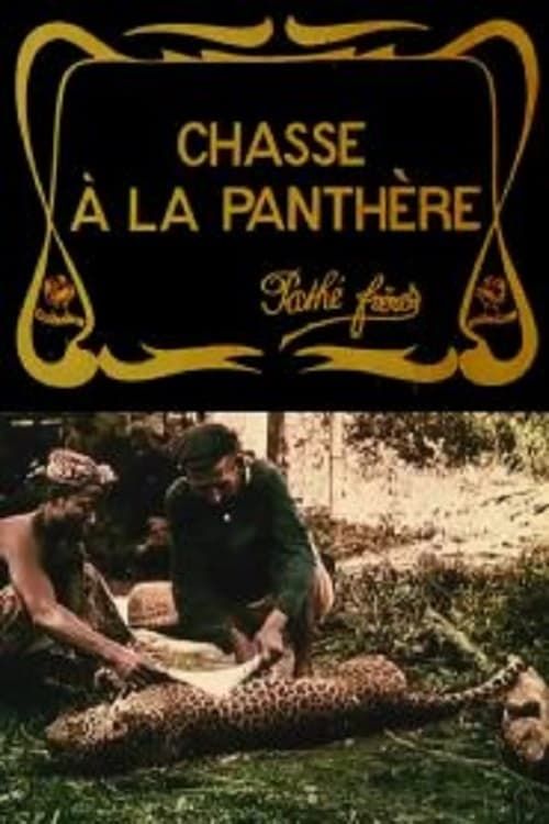 Key visual of Hunting the Panther