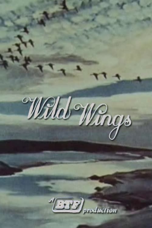 Key visual of Wild Wings