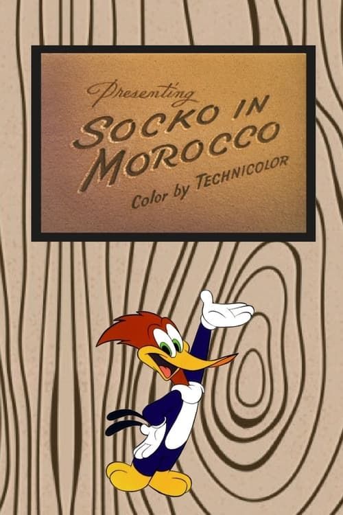 Key visual of Socko in Morocco
