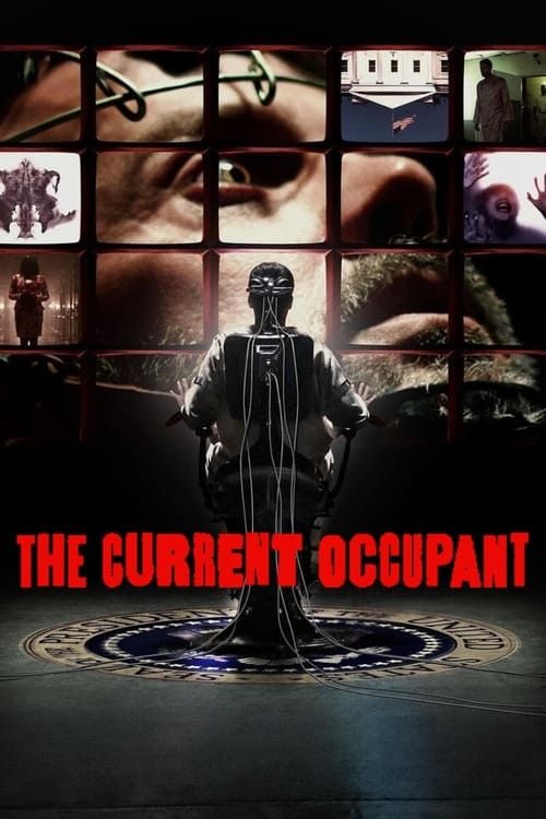 Key visual of The Current Occupant