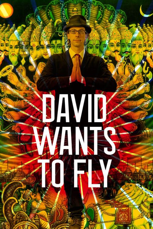 Key visual of David Wants to Fly