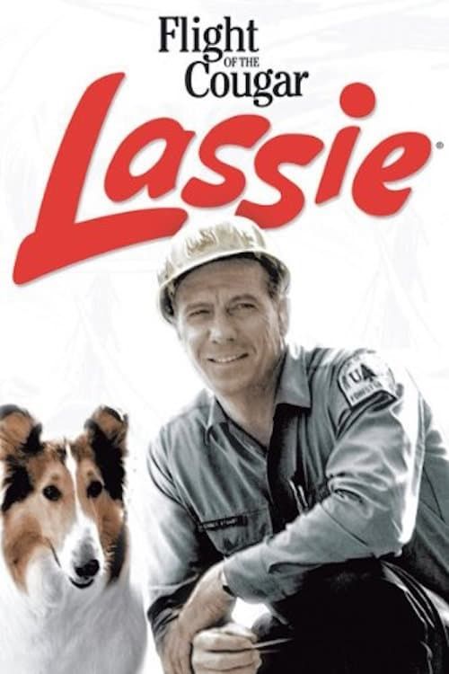Key visual of Lassie and the Flight of the Cougar
