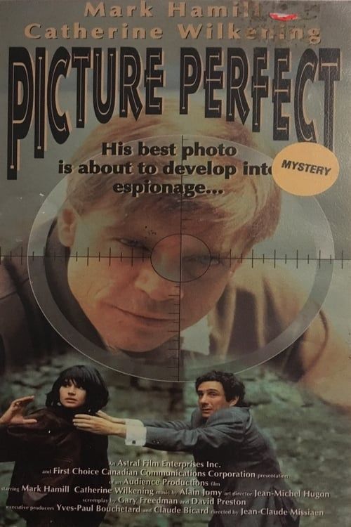 Key visual of Picture Perfect