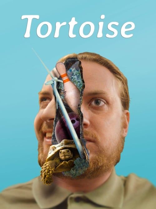 Key visual of Tortoise