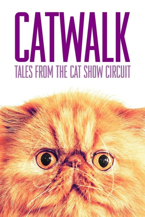 Key visual of Catwalk: Tales from the Catshow Circuit