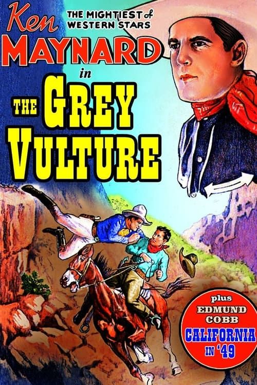 Key visual of The Grey Vulture