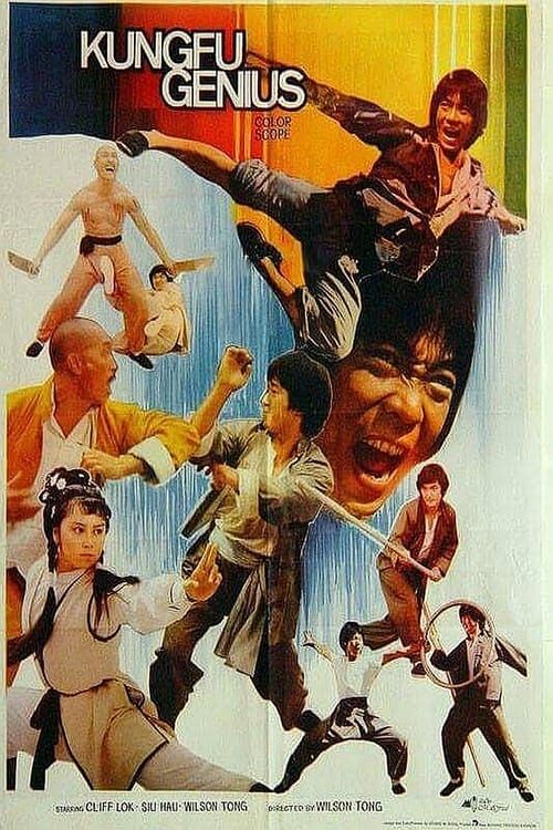 Key visual of Kung Fu Genius