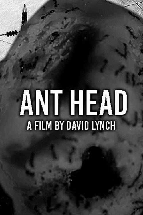 Key visual of Ant Head