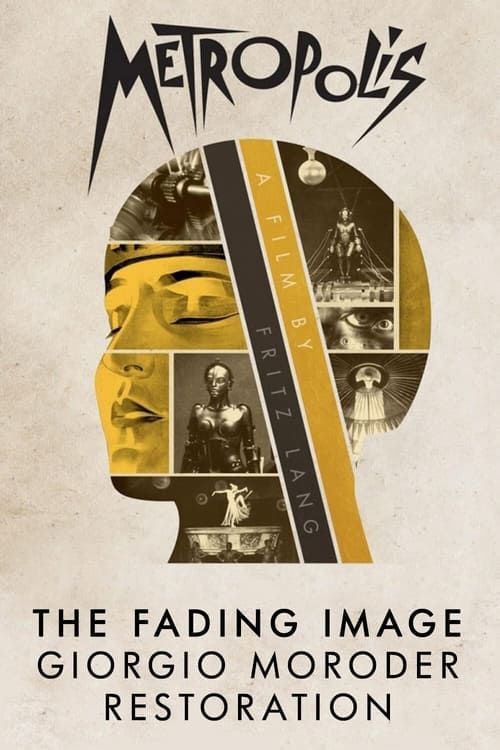 Key visual of The Fading Image