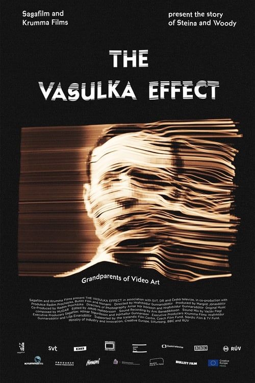 Key visual of The Vasulka Effect