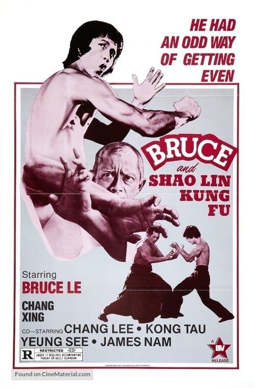 Key visual of Bruce and Shaolin Kung Fu