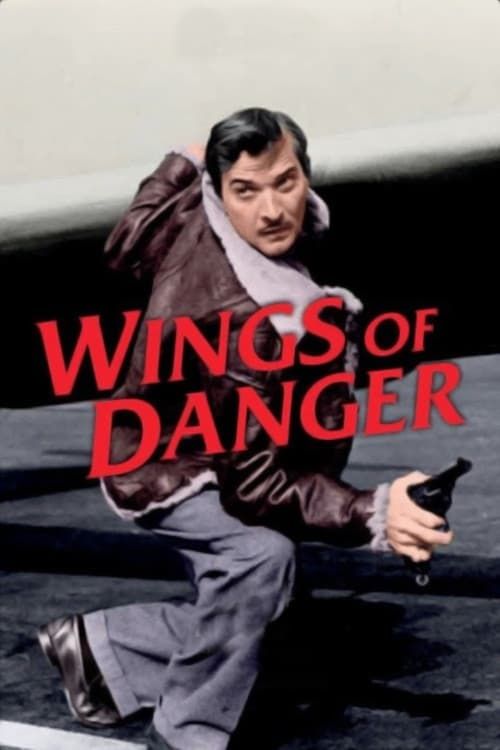 Key visual of Wings of Danger