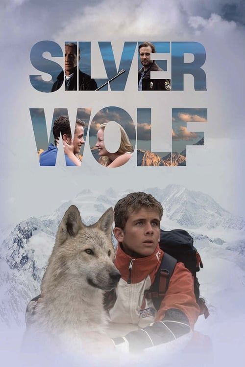 Key visual of Silver Wolf