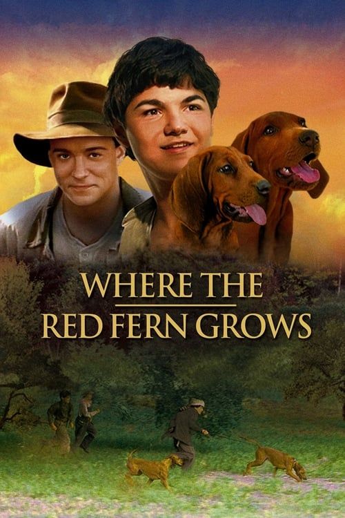 Key visual of Where the Red Fern Grows