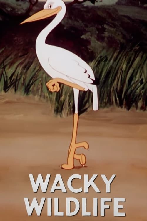 Key visual of Wacky Wildlife