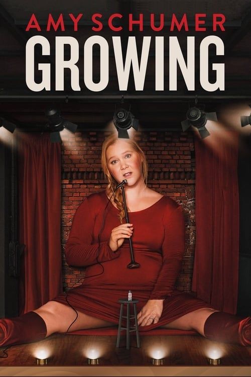 Key visual of Amy Schumer: Growing