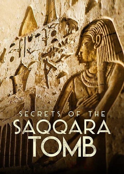Key visual of Secrets of the Saqqara Tomb