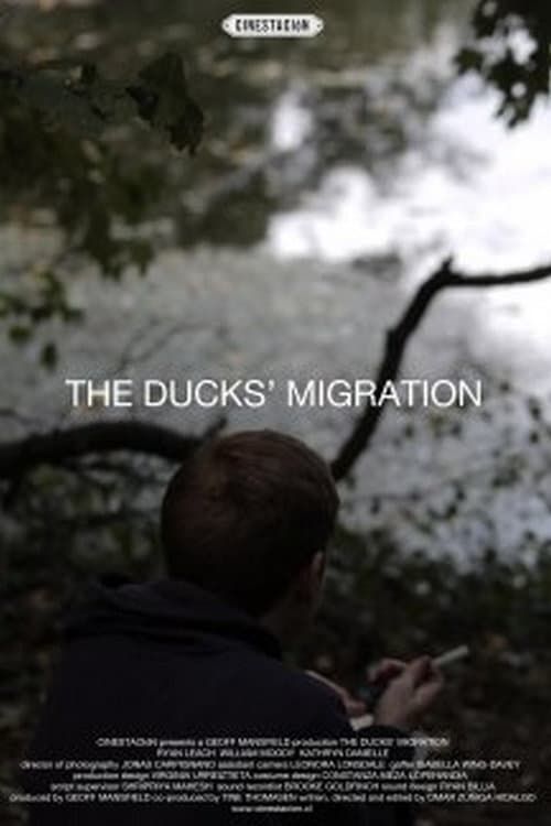 Key visual of The Ducks' Migration