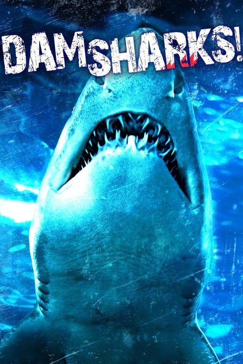 Key visual of Dam Sharks!