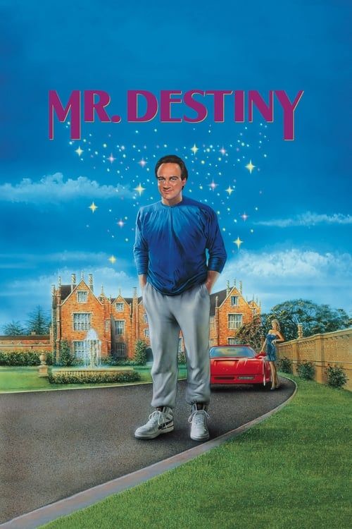 Key visual of Mr. Destiny