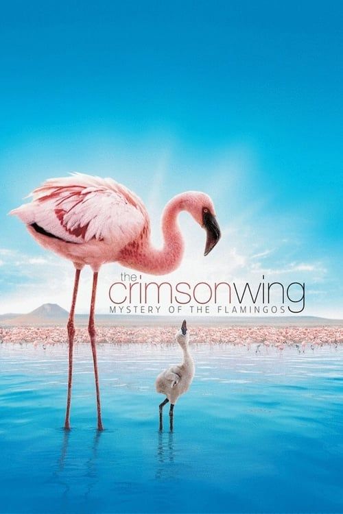 Key visual of The Crimson Wing: Mystery of the Flamingos