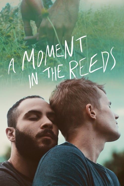 Key visual of A Moment in the Reeds