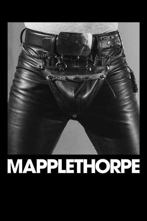 Key visual of Mapplethorpe